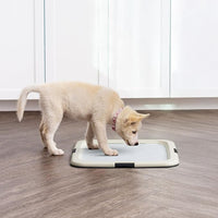 IRIS USA Pee Pad Holder for Puppy Training, Secured Latches, Non-Skid Feet, Fits 22"x22" Pads, Dark Gray + 100 Puppy Pads, Leak Proof, Quick Dry, 6-Layer Absorbent Design, 22"x22"