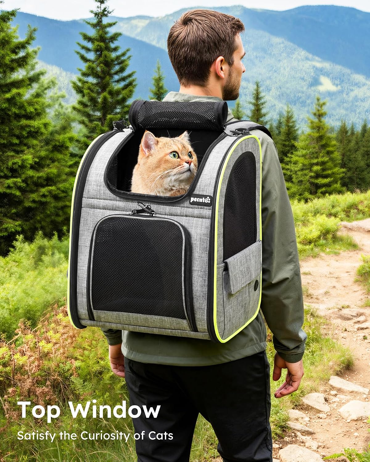 pecute Cat Backpack Expandable - Grey / 12.6"L x 10.2"W x 16.5"H / Mesh Window - image 4