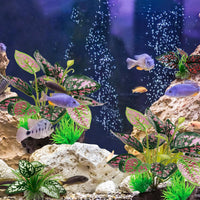 Moonorange Reptile Artificial Plants - M Set-a - image 4