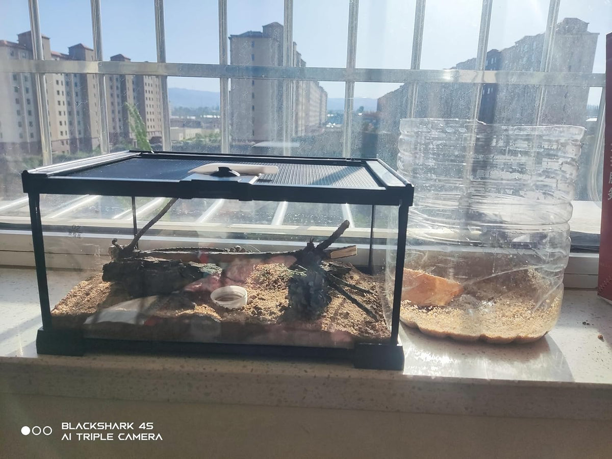 AWXZOM Mini Reptile Glass Terrarium Tank - 12x8x6inch - image 3