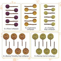 Fhiny Rabbit Chew Toys, 30 PCS Natural Bunny Lollipop Chew Sticks Handmade Guinea Pig Molar Treats for Teeth Small Animals Snacks for Guinea Pig Bunny Chinchilla Hamster Gerbil Teeth Care