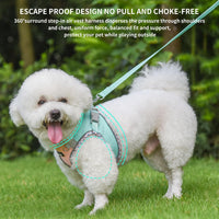 Breathable Dog Harness Small Sized and Leash Set - Turquoise-Pink / XXS(Chest: 10 - 11.5") - image 3