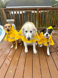 Dog Raincoats with Reflective Strip Hoodie - A1-Yellow / 24B (65-80 lbs) - image 4