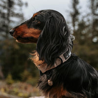 Beau's Bells V2 | Cat & Dog Collar Bells with New Quick Loop Easy Release Clip | Handmade Copper | - Single Bell / Small - image 4