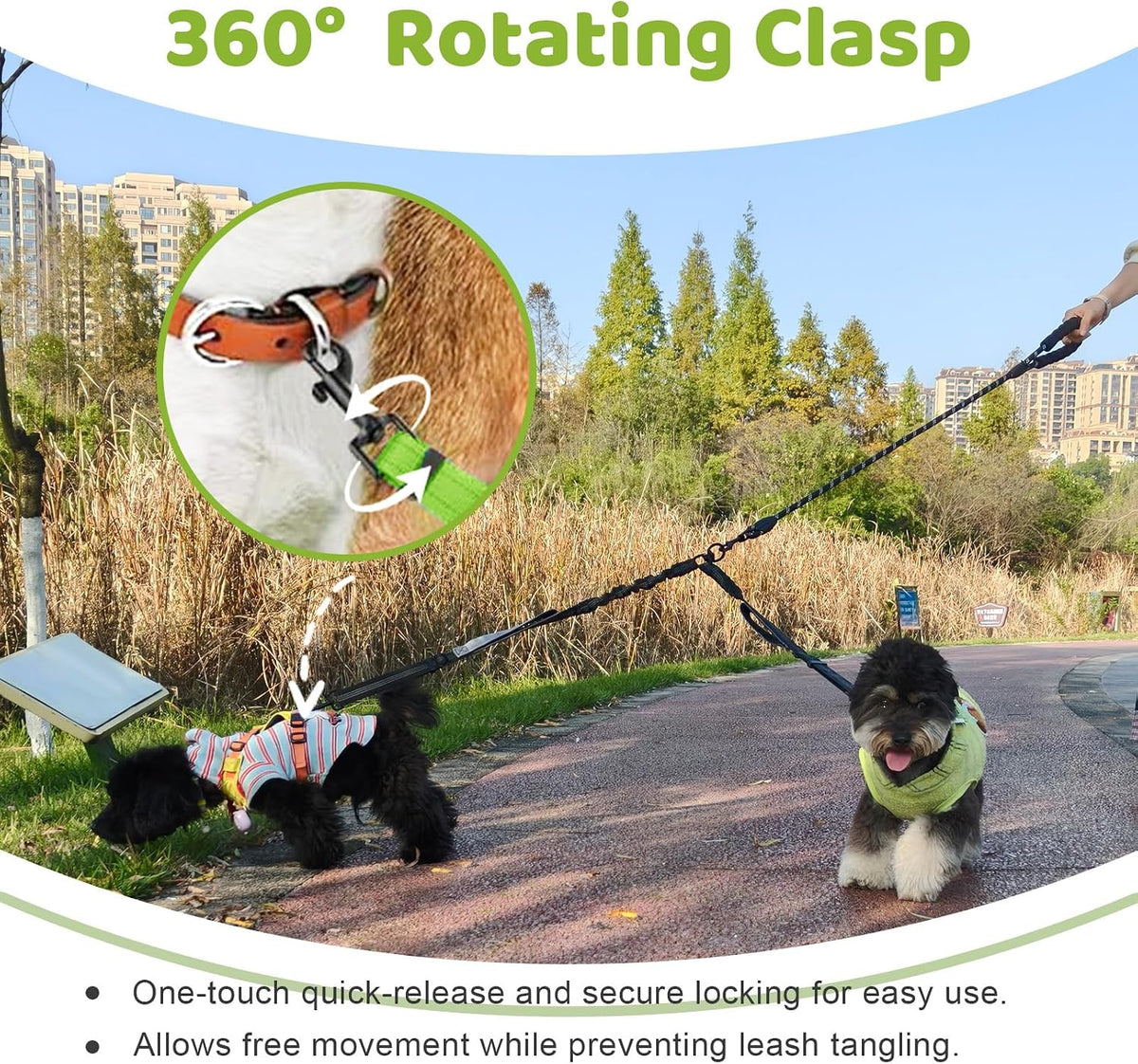 Double Dog Leash, No Tangle Splitter for Two Dogs - Green - image 4
