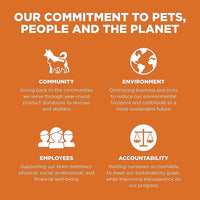 Go! Solutions Skin + Coat Care, Grain-Free Dry Cat Food, Salmon Recipe, 8 lb Bag