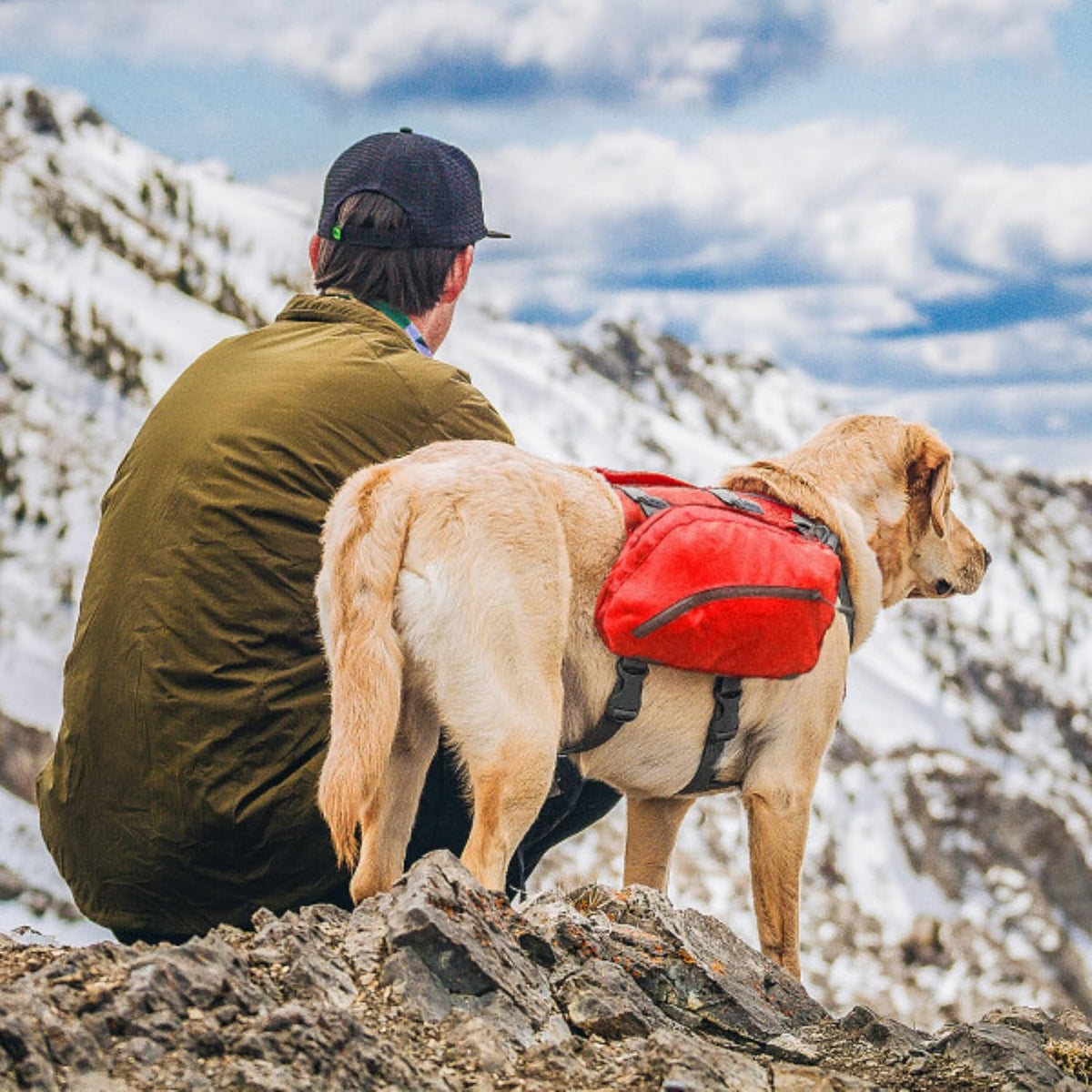 Kurgo Big Baxter Dog Backpack Harness - Big Baxter / Chili/Barn Red - image 3