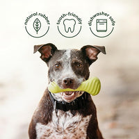 Benebone 2-Pack Bacon Wishbone/Rubber Bone Medium