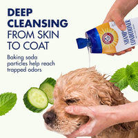 Arm & Hammer 2-in-1 Dog Shampoo and Conditioner - Cucumber Mint / 20 Fl Oz (Pack of 1) - image 2