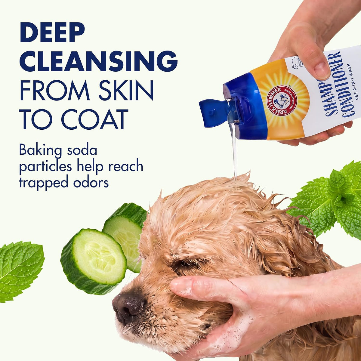 Arm & Hammer 2-in-1 Dog Shampoo and Conditioner - Cucumber Mint / 20 Fl Oz (Pack of 1) - image 2