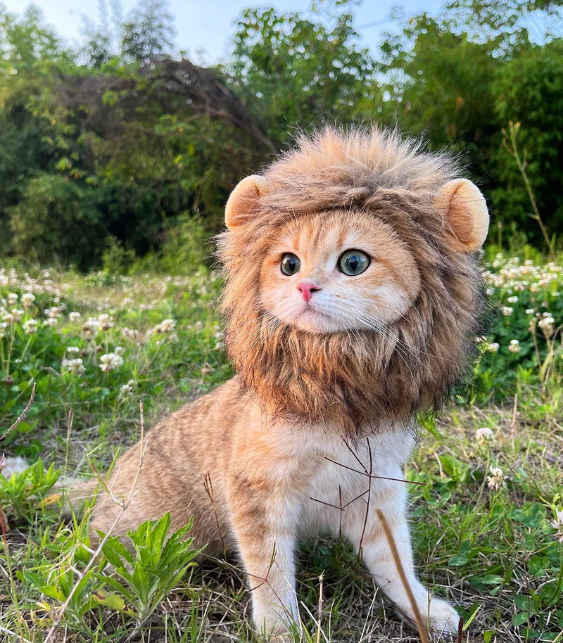 Lion Mane Wig for Cat, Dog and Cat Costume - Size M / Melange Brown