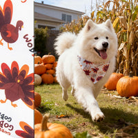 Fall Dog Bandana Artistic Sketch Maple Leaf Golden Orange - Gobble Turkey / Small - image 3