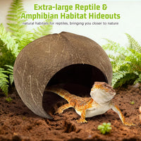 PINVNBY 2 PCS Natural Coconut Reptile Hideouts Lizard Coco Hut Hermit - Smooth Surface / Extra Large Size, 1 PCS - image 2