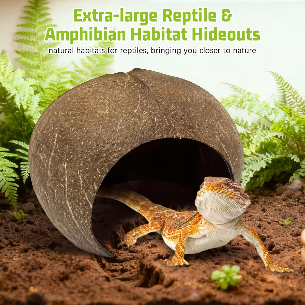 PINVNBY 2 PCS Natural Coconut Reptile Hideouts Lizard Coco Hut Hermit - Smooth Surface / Extra Large Size, 1 PCS - image 2