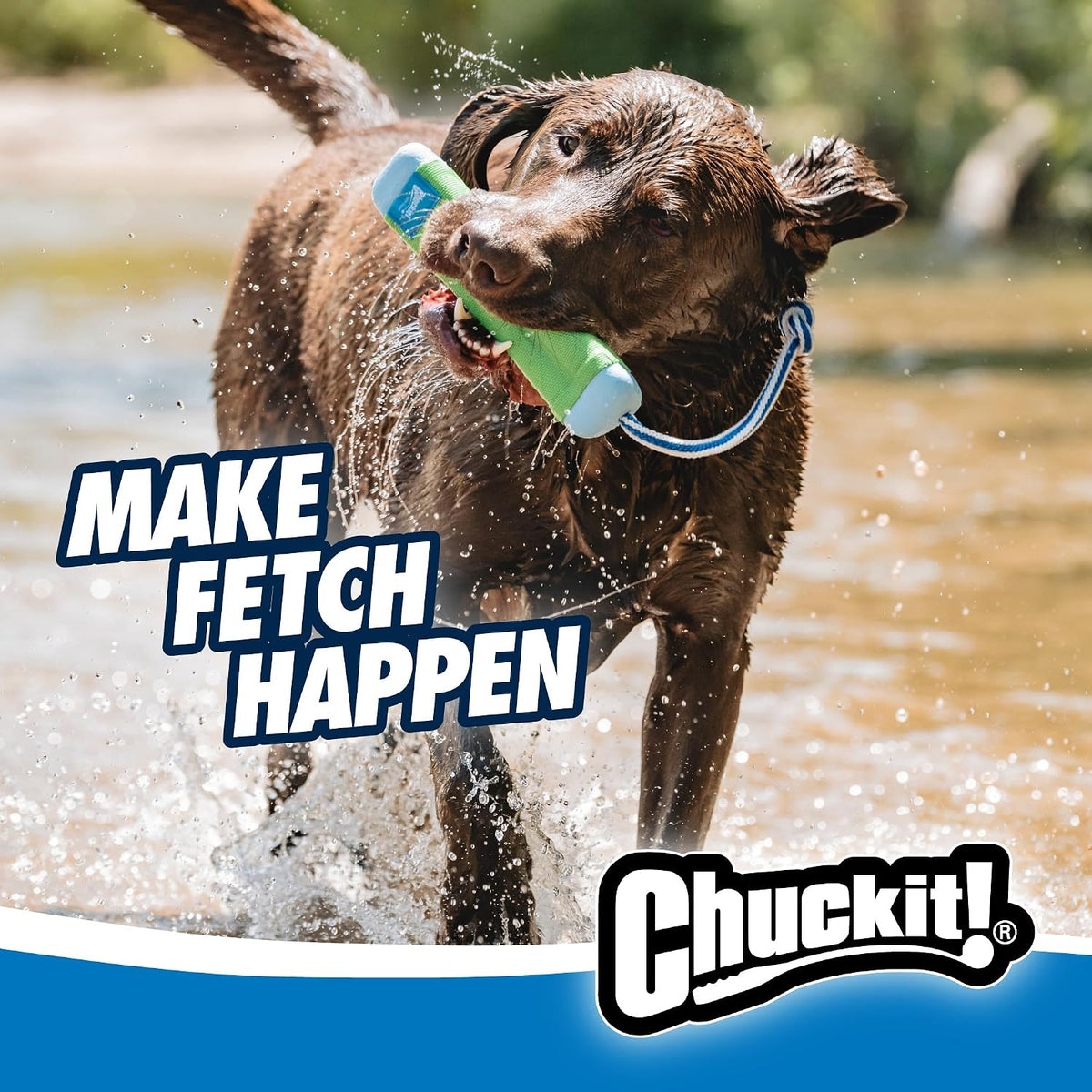 Chuckit! Amphibious Bumper Dog Fetch Toy, Floats, for Water Play - Medium (Pack of 12) / 12 - image 3