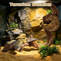 Reptile Climbing Decor 1.8-2.2" Thick Wood Branches Snake Habitat - 11.8 inches (1 Pack) - image 2