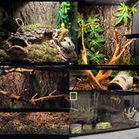 2PCS Cork Terrarium Background - 4Pcs-15.7"x11.8" - image 3