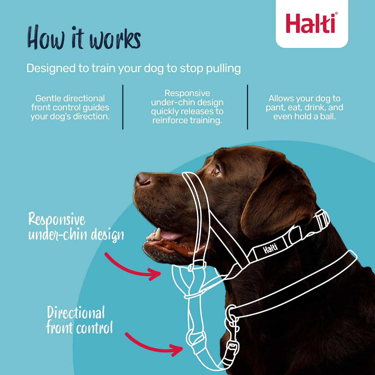 Halti Headcollar & Training Leash Bundle – Essentials for Dogs - Size 4 Head Collar - image 2