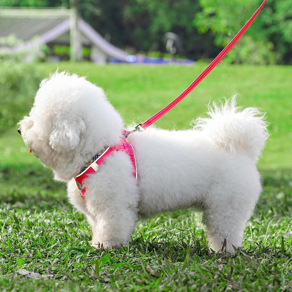Hipubby Dog Harness Small Sized and Leash Set - Rose Red/Khaki Trim / XXS (Chest: 11"-12.5") - image 2