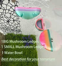2 Pack Jumping Spider Accessories Mushroom Ledges & 1 Pack Water Bowl - colorful - image 2