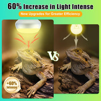 Reptile Heat Lamp Bulbs, Simulate Natural Sunlight Heat Light Bulb, 2 Pack 100W Amphibian Terrarium - Intense Light / 2*100 - image 3