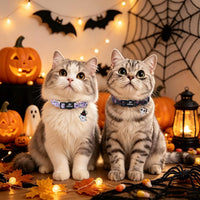 2 Pack Cute Cat Collars - Cartoon Bee Ladybug Breakaway Cat Collar with Bell & Matching Pendant - Spooky Halloween - image 2