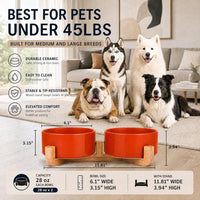 Ceramic Cat Dog Bowl Set with Stand - Rust Red / 850ML*2 - image 3