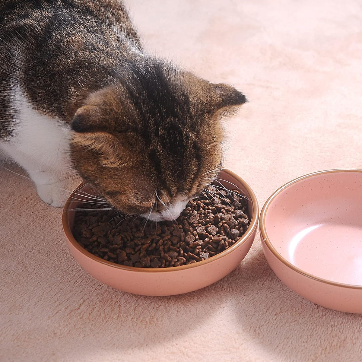 Ceramic Cat Bowls, Howise Pet Bowl Cat Dishes for Food and Water - pink - image 3