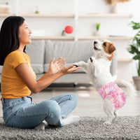 Pet Soft Dog Diapers Female, Disposable Female Dog Diaper - Pink Flower / Medium(12Pcs) - image 4