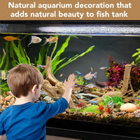 Natural Aquarium Driftwood for Fish Tank Reptile Terrariums Decor – Essentials for Fish - Spiderwood 11 to 14 Inch (Pack of 2) - image 3