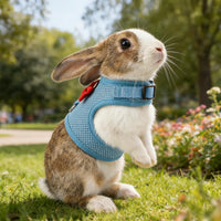 Breathable Bunny Harness and Leash Set with Cute Bow, Black S – Essentials for Small Pets - S / Blue - image 3