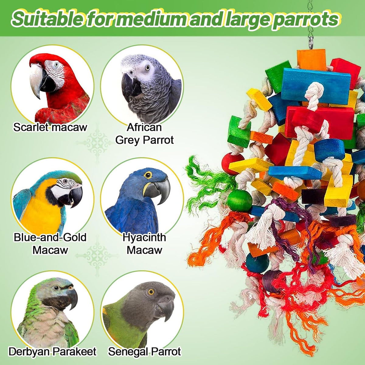 Extra Large Natural Wood Bird Toys for Macaws, African Grey - Elliptical - image 4
