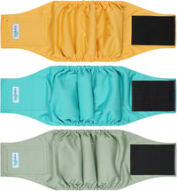 Leekalos Male Dog Diapers - Small / Green,Yellow,Gray