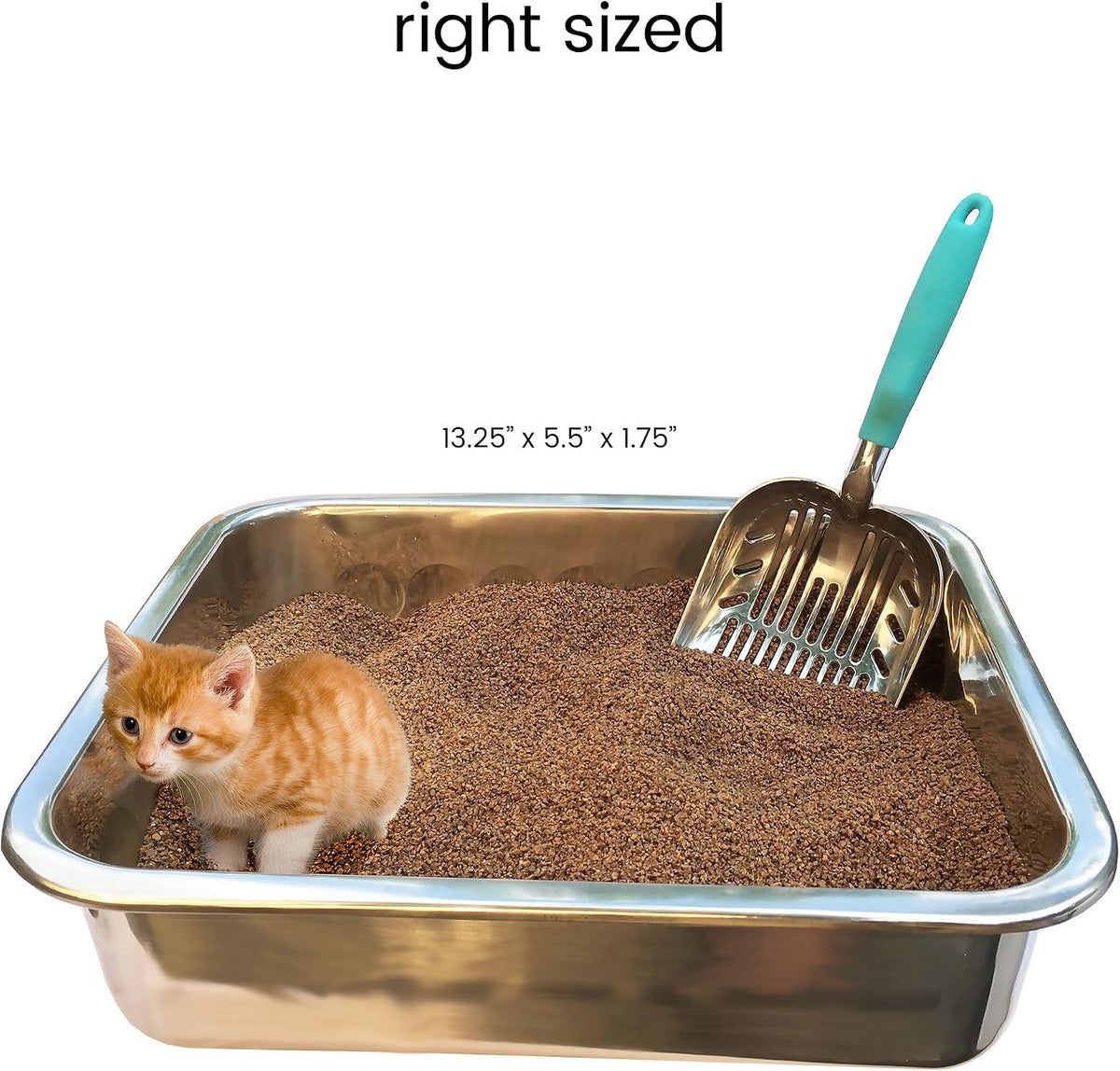 DuraScoop Premium Multicat Cat Litter Scoop, Solid Metal - Durascoop - image 4