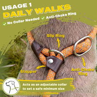 Fida Durable Slip Lead Dog Leash - Large (1/2" x 6 ft) / Orange - image 4