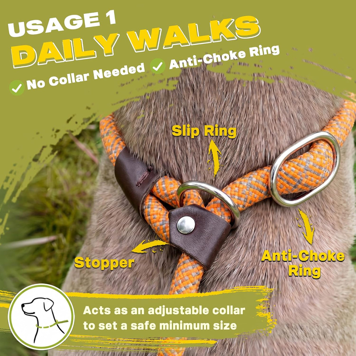 Fida Durable Slip Lead Dog Leash - Large (1/2" x 6 ft) / Orange - image 4