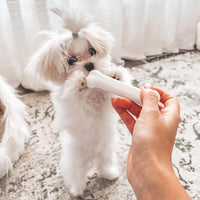 Nylabone Puppy Pacifier Chew Toy - Blue / Small - image 2