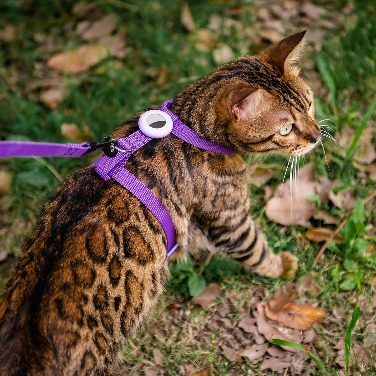 Cat Harness and Leash Set with Airtag Holder for Walking & Travelling - Purple - image 2