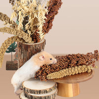 Natural Ear of Grain Flower&Herb Bedding Mate Habitat Decor - Grain - image 3