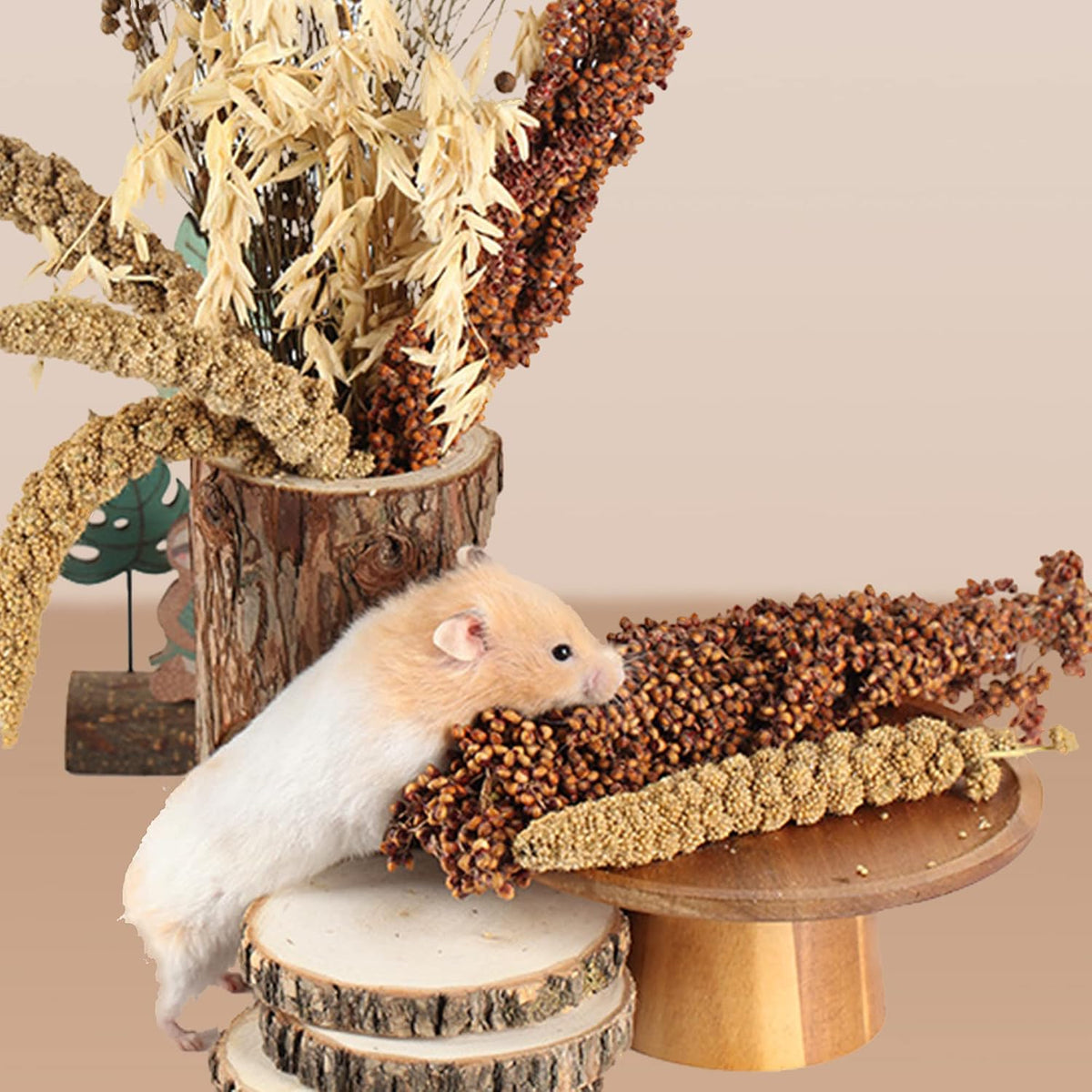 Natural Ear of Grain Flower&Herb Bedding Mate Habitat Decor - Grain - image 3
