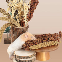 Natural Ear of Grain Flower&Herb Bedding Mate Habitat Decor, Adding Fun Hamster Accessories for Hamsters Gerbils Lemming