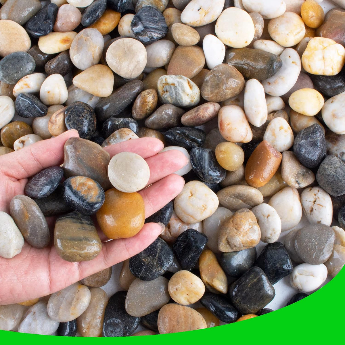45lb White Rocks for Plants, Potting - 3LB / Colour