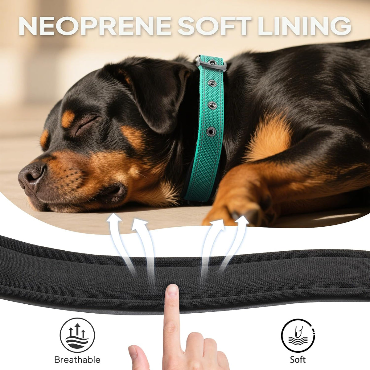 PetiFine Dog Collars for Medium Dogs - Teal / Large (19"-23") - image 3