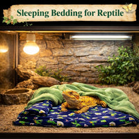 Bearded Dragon Tank Accessories - image 3
