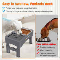 3-in-1 Elevated Dog Bowls with 4 Height Adjustable Raised Stand – Essentials for Dogs - Grey / 2-in-1 Dog Bowls Set - image 3