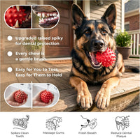 3.5''Durable Squeaky Dog Ball for 25-80lbs Aggressive Chewers – Essentials for Dogs - 1 PC-Beef-Red - image 2