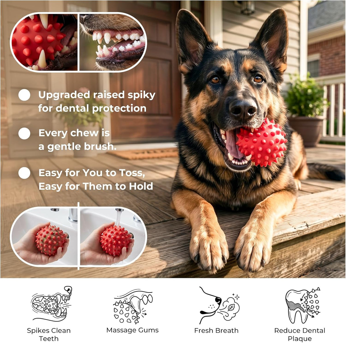 3.5''Durable Squeaky Dog Ball for 25-80lbs Aggressive Chewers – Essentials for Dogs - 1 PC-Beef-Red - image 2