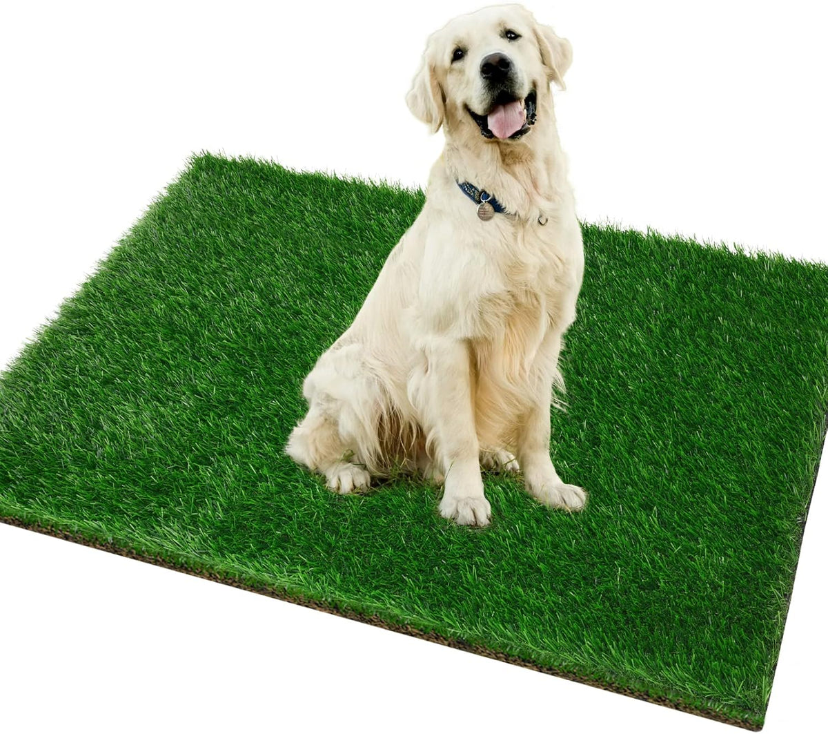 Fake Grass Pad for Dogs Potty Training Artificial Turf - 51.2x31.5 Inch / Green
