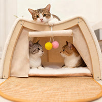Cat Houses for Indoor Cats - 24.4*16.9*19.7"/Flat Roof (L) - image 4