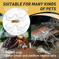 2 Packs Hermit Crab Pool, Ideal Hermit Crab Tank Combination - Small*4 - image 4